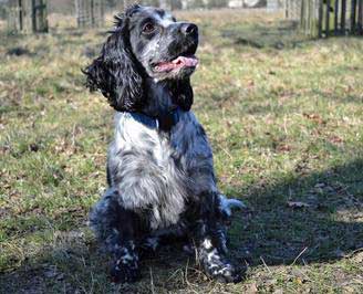 Who's The Daddy? Who's The Daddy?