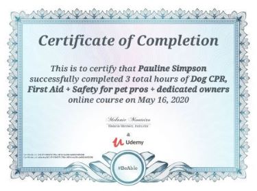 Certificate for Dog CPR, First Aid and Safety for Pet Pros and Dedicated Owners by Melanie Monteiro. Course completed by Pauline Simpson, owner of this website.