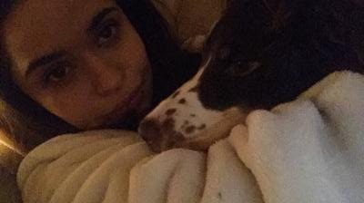 Lady, a beautiful chocolate roan cocker spaniel with her owner, Bethan.