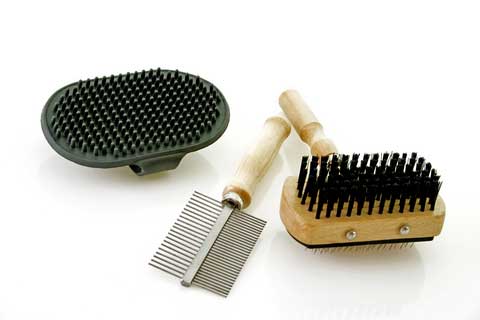 dog hair stripping brush