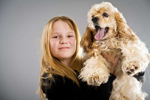 Good Family Dogs: Are Cocker Spaniels 