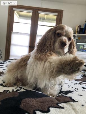 Momma, more love please