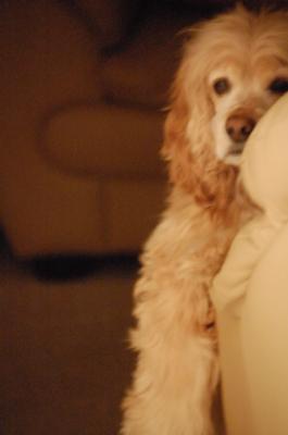 My Mom made me sit here for an hour to get the right shot!