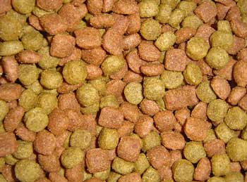 A close-up of organic kibble for dogs