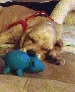 Butter Wouldn't Melt, Or Would It?