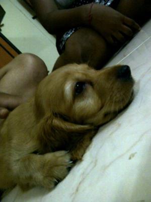 Sleeping Mood of Shirley