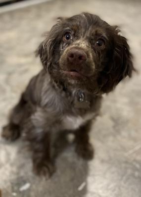 What are you eating, Mum?